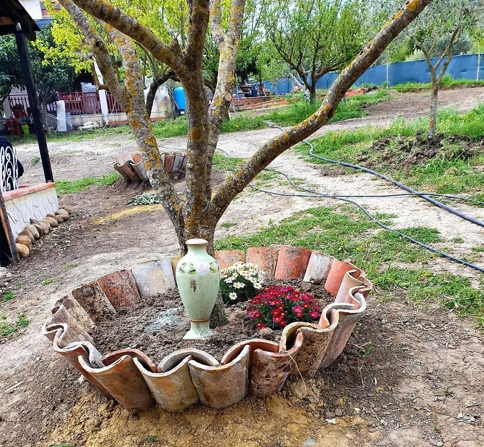 Villa Parco Morello Piano Terra Villarosa イタリア